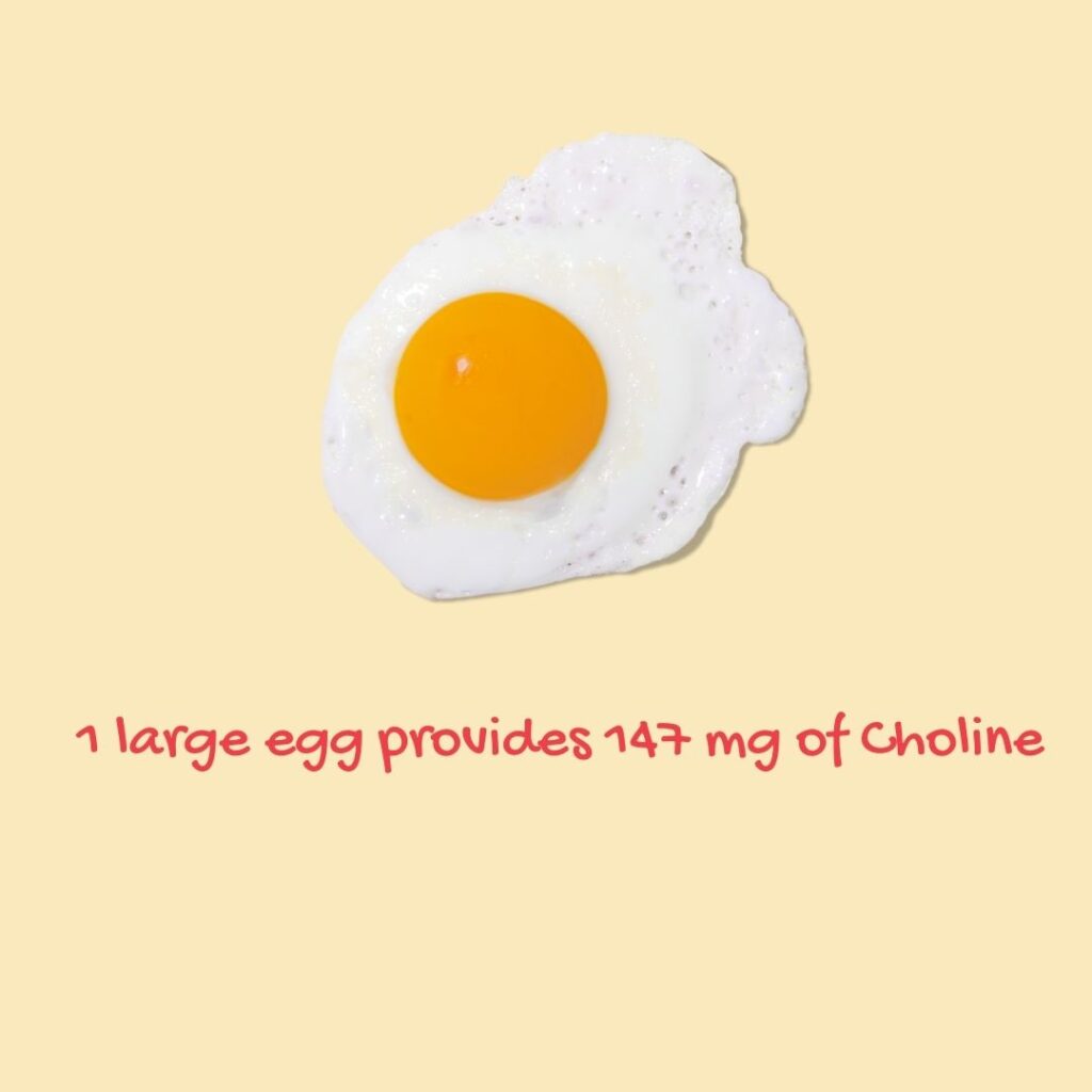 1 large egg provides 147 mg of choline, almost the daily recommended amount for a toddler